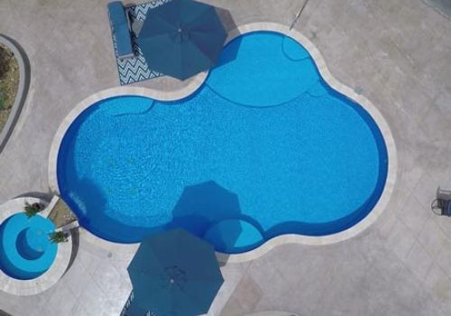 Gemini Freeform Vinyl Liner customer pool